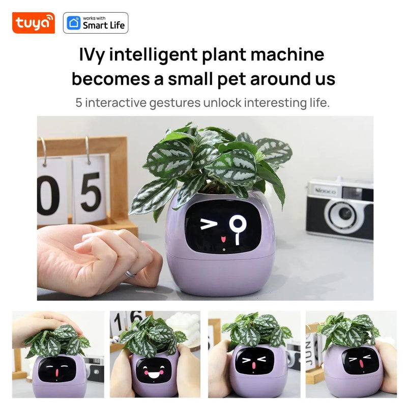 Tuya Ivy Smart Planter: Jardinagem Divertida e Inteligente com 49 Expressões e Sensores!