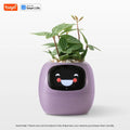 Tuya Ivy Smart Planter: Jardinagem Divertida e Inteligente com 49 Expressões e Sensores!